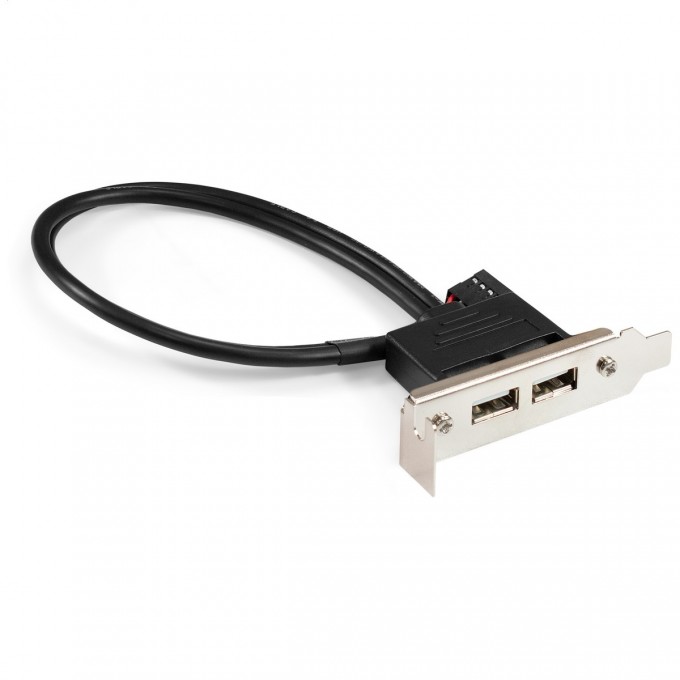 Планка портов в корпус 2xUSB2.0 EXEGATE BrctUSB2-2A-LP EX298293RUS Планка портов в корпус 2xUSB2.0 EXEGATE BrctUSB2-2A-LP EX298293RUS